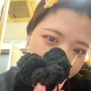 ヒメ日記 2026/01/29 22:29 投稿 日浦　りく NADIA大阪店