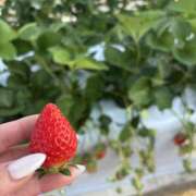 ヒメ日記 2026/03/27 13:35 投稿 一ノ瀬 Mrs.Deep SPA（ディープスパ）