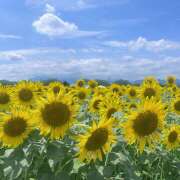 ヒメ日記 2025/09/01 00:32 投稿 なぎ ラッシュアワー