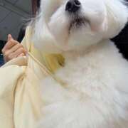 ヒメ日記 2026/01/10 12:04 投稿 なぎ ラッシュアワー