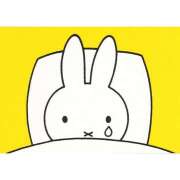 ヒメ日記 2026/02/13 17:15 投稿 なぎ ラッシュアワー