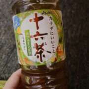 ヒメ日記 2025/04/13 01:49 投稿 花咲チロル 奴隷志願！変態調教飼育クラブ本店