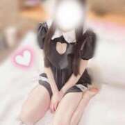 ヒメ日記 2025/05/04 03:05 投稿 花咲チロル 奴隷志願！変態調教飼育クラブ本店