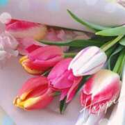 ヒメ日記 2025/03/25 15:06 投稿 春田 葵 人妻セレブ宮殿