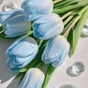 ヒメ日記 2025/04/14 14:01 投稿 春田 葵 人妻セレブ宮殿