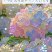 ヒメ日記 2025/06/12 08:30 投稿 春田 葵 人妻セレブ宮殿