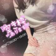 ヒメ日記 2025/06/27 20:31 投稿 春田 葵 人妻セレブ宮殿