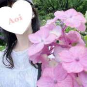 ヒメ日記 2025/06/29 09:01 投稿 春田 葵 人妻セレブ宮殿