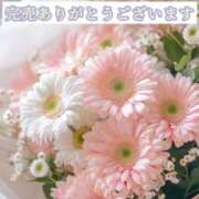 ヒメ日記 2025/07/10 08:00 投稿 春田 葵 人妻セレブ宮殿