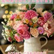 ヒメ日記 2025/10/03 20:41 投稿 春田 葵 人妻セレブ宮殿