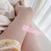 ヒメ日記 2025/10/20 07:28 投稿 春田 葵 人妻セレブ宮殿