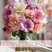 ヒメ日記 2025/10/24 13:35 投稿 春田 葵 人妻セレブ宮殿