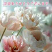 ヒメ日記 2025/11/15 09:30 投稿 春田 葵 人妻セレブ宮殿