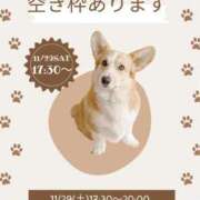 ヒメ日記 2025/11/25 18:30 投稿 春田 葵 人妻セレブ宮殿