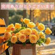 ヒメ日記 2025/12/11 09:18 投稿 春田 葵 人妻セレブ宮殿