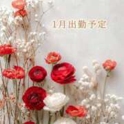 ヒメ日記 2025/12/29 20:30 投稿 春田 葵 人妻セレブ宮殿