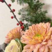 ヒメ日記 2026/01/01 20:15 投稿 春田 葵 人妻セレブ宮殿