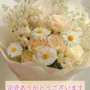 ヒメ日記 2026/01/29 11:01 投稿 春田 葵 人妻セレブ宮殿