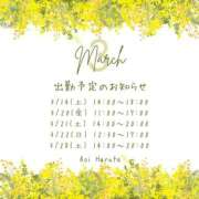 ヒメ日記 2026/03/11 11:01 投稿 春田 葵 人妻セレブ宮殿