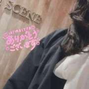 ヒメ日記 2026/03/15 10:15 投稿 春田 葵 人妻セレブ宮殿