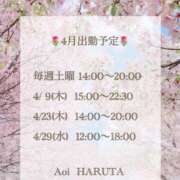 ヒメ日記 2026/03/27 21:26 投稿 春田 葵 人妻セレブ宮殿