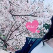 ヒメ日記 2026/03/30 07:16 投稿 春田 葵 人妻セレブ宮殿