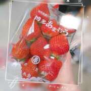 ヒメ日記 2026/04/01 15:37 投稿 春田 葵 人妻セレブ宮殿