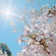 ヒメ日記 2026/04/03 21:23 投稿 春田 葵 人妻セレブ宮殿