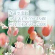 ヒメ日記 2026/04/08 15:53 投稿 春田 葵 人妻セレブ宮殿