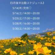 ヒメ日記 2026/05/13 22:43 投稿 春田 葵 人妻セレブ宮殿