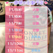 ヒメ日記 2025/11/05 14:01 投稿 みつ クラブハートDX