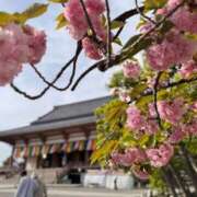 ヒメ日記 2026/04/23 21:24 投稿 るい 濃厚即19妻