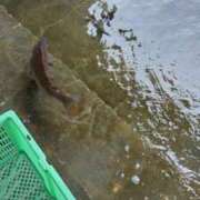 ヒメ日記 2025/08/31 21:06 投稿 れな 東大阪人妻援護会