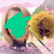 ヒメ日記 2025/10/19 07:19 投稿 れな 京都人妻援護会