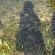 ヒメ日記 2025/09/11 09:55 投稿 れな 尼崎人妻援護会