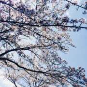 ヒメ日記 2025/04/02 15:13 投稿 河合 ミセスの手ほどき