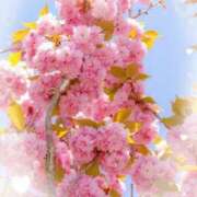 ヒメ日記 2025/05/16 18:19 投稿 りか ニューヨーカー