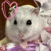 ヒメ日記 2025/07/21 21:51 投稿 りか ニューヨーカー