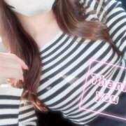 ヒメ日記 2025/04/30 10:29 投稿 三田　うあ ベルサイユの薔薇