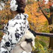 ヒメ日記 2025/05/10 07:09 投稿 三田　うあ ベルサイユの薔薇