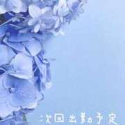 ヒメ日記 2025/07/24 20:29 投稿 三田　うあ ベルサイユの薔薇