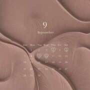 ヒメ日記 2025/08/29 20:32 投稿 三田　うあ ベルサイユの薔薇