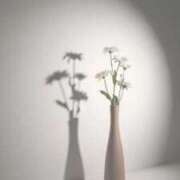 ヒメ日記 2025/12/20 12:23 投稿 三田　うあ ベルサイユの薔薇