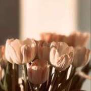 ヒメ日記 2026/04/13 10:15 投稿 レイン 京都 泡洗体ハイブリッドエステ PUPPY LOVE 京都駅前本店