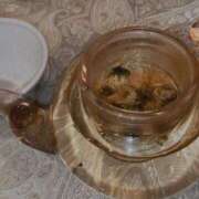 ヒメ日記 2025/04/08 05:46 投稿 花形うるか 皇帝別館（こうていべっかん）