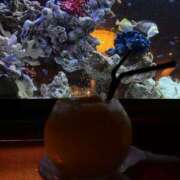 ヒメ日記 2025/07/23 00:16 投稿 花形うるか 皇帝別館（こうていべっかん）