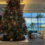 ヒメ日記 2025/11/29 12:16 投稿 花形うるか 皇帝別館（こうていべっかん）