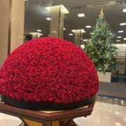 ヒメ日記 2025/12/29 09:46 投稿 花形うるか 皇帝別館（こうていべっかん）