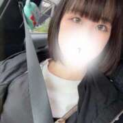 ヒメ日記 2025/04/05 14:08 投稿 せな 若葉