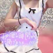 ヒメ日記 2025/04/05 15:05 投稿 せな 若葉